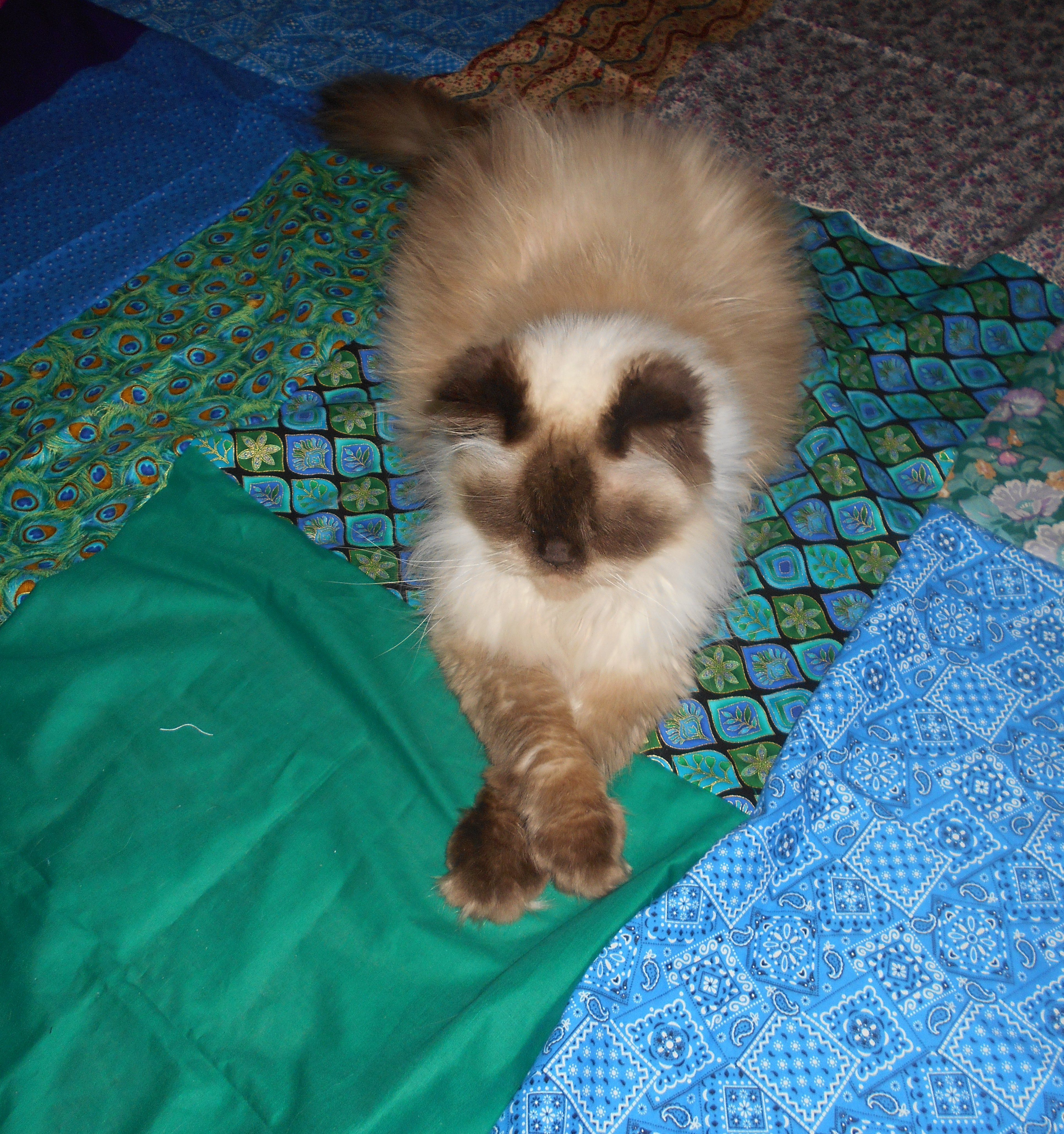 cropped-sewing1.jpg