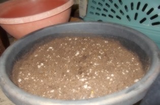 Compost