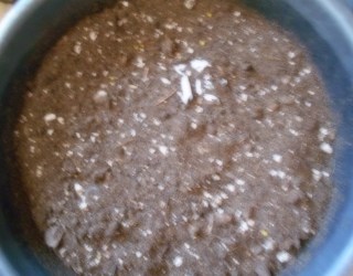 composting